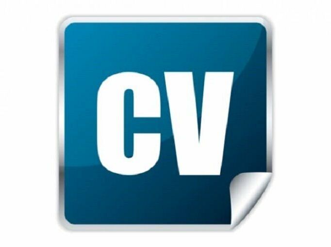 Write a Professional CV