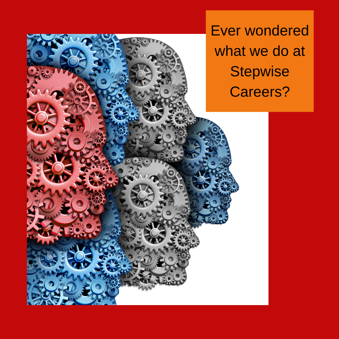 Ever wondered what we do at Stepwise Careers?